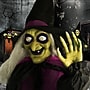Haunted Hill Farm Animatronic Witches with Cauldron (HHWITCH-15FLS)~#|#~E362856E-C500-469D-BD75ED419FCB4070_sc7