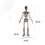 Haunted Hill Farm 8' Tall Motion-Activated Towering Skeleton (HHTWRSKEL-2FLSA)~#|#~E36A07EE-6BAF-4F8D-88A4249AB094FB98_sc7