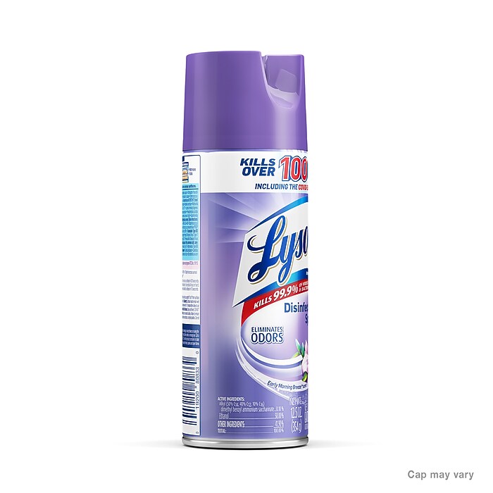 Lysol All-Purpose Cleaners & Spray Disinfectant, Early