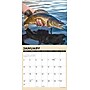 2027 Willow Creek Gone Fishing  12" x 12" Monthly Wall Calendar (65266)~#|#~E36F714B-620B-4C5E-BC806D96AEF10365_sc7