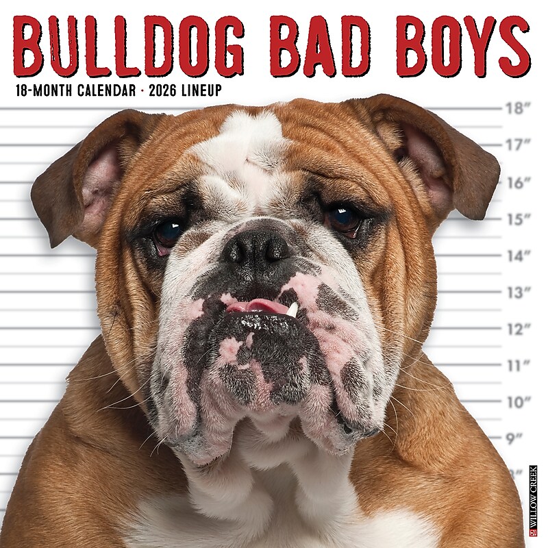 2026 Willow Creek Bulldog Bad Boys 12" x 12" Monthly Wall Calendar (50415) image 1