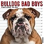 2026 Willow Creek Bulldog Bad Boys 12" x 12" Monthly Wall Calendar (50415)~#|#~E3714EC4-1DBE-4ED3-8F82BA7AF1AAD519_sc7