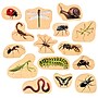 TickiT Wooden Minibeast Blocks, Multicolored, 15/Set (CTU73568)~#|#~E37C5BFA-1EC1-4F1A-96336FEC6BE4DDEF_sc7