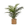 Monarch Specialties Inc. Palm in Basket (I 9503)~#|#~E3973F71-08B3-4D6E-AEED8A5EA6CD69BE_sc7