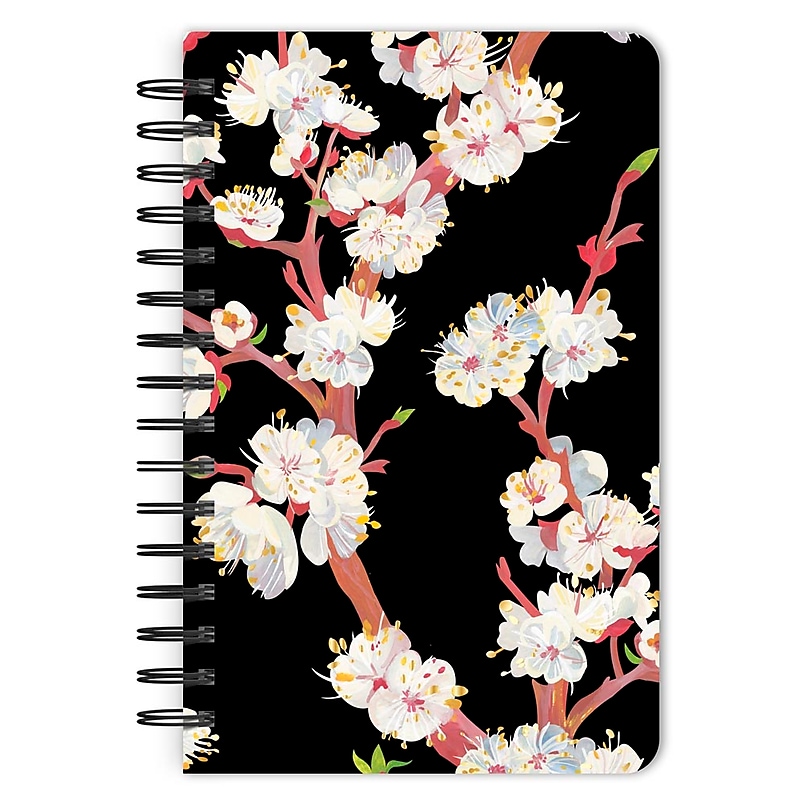 BrownTrout Black Floral 5.25" x 8.25" Academic & Calendar Personal Organizer, Multicolored (9798330707010) image 1