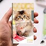 2027 TF Publishing Kitten 3.5" x 6.5"  Monthly Standard Planner, Paperboard Cover, Multicolored (27-7022)~#|#~E3B2DCD2-F63C-4498-BF1B5FFEF6D72E9F_sc7