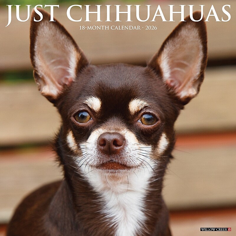 2026 Willow Creek Chihuahuas 12" x 12" Monthly Wall Calendar (50699) image 1