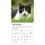 2027 BrownTrout Cat Lovers 7" x 7" Monthly Wall Calendar, Assorted Colors (9798330709717)~#|#~E3ED3624-C911-4D90-A648014CFB2EF9A2_sc7