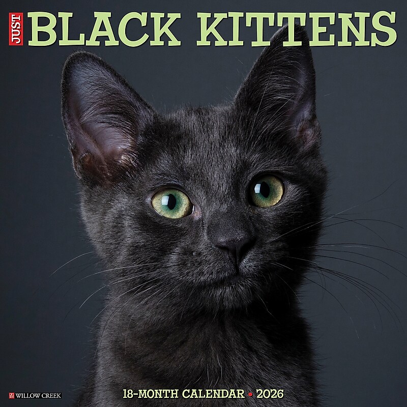 2026 Willow Creek Black Kittens 12" x 12" Monthly Wall Calendar (50293) image 1