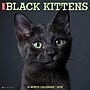 2026 Willow Creek Black Kittens 12" x 12" Monthly Wall Calendar (50293)~#|#~E3F6EE21-9DF4-4BF3-BC25F049CF5E73BE_sc7