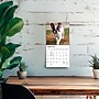 2027 BrownTrout French Bulldogs 7" x 7" Monthly Wall Calendar, Assorted Colors (9798330709991)~#|#~E41CE79D-BF66-4E5E-9F3E86C84E26D1BC_sc7