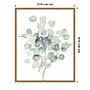 Amanti Art Eucalyptus III Cool by Danhui Nai Framed Canvas Wall Art Print, 23" x 28" (A42677089685)~#|#~E43AA843-1645-4036-81F0AFB569F9EDC5_sc7