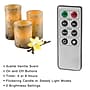 Lavish Home Birch Bark Flameless Candles, 3/Pack (72-FC2008)~#|#~E43B6704-71D4-4848-B6486C9C390BD43A_sc7