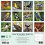 2027 Willow Creek Backyard Birds 12" x 12" Monthly Wall Calendar, Assorted Colors (58978)~#|#~E4412FB5-6462-48FB-B33F181F2C6E4E45_sc7