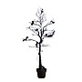 Nearly Natural Pre-Lit Artificial Halloween Black Spooky Twig Tree, 4' (T5232)~#|#~E4427655-B81A-4A9E-8F806958F1C82F25_sc7