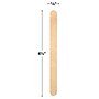 Teacher Created Resources STEM Basics Craft Sticks, Natural Wood, 500/Pack, 3 Packs/Bundle (TCR20920-3)~#|#~E44B25BB-4676-4D6F-A7F0A190BE60D434_sc7