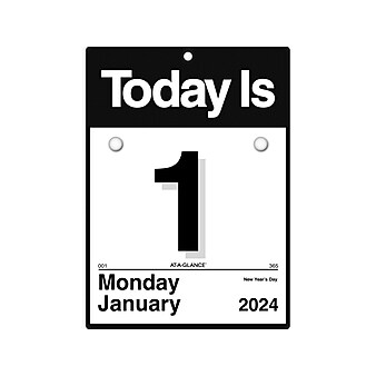 2024 AT-A-GLANCE Today Is 6.5" x 9" Daily Wall Calendar, White/Black (K1-00-24)