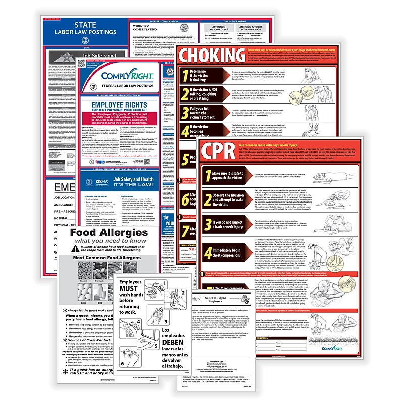 ComplyRight Federal, State and Restaurant (English) Labor Law 1-Year Poster Service, Wisconsin (U1200CRESTWI) image 1