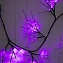 Nearly Natural Pre-Lit Artificial Halloween Black Twig Garland, 6.5' (W1379)~#|#~E483F8D7-130E-4E53-A50ACA2E84E0B29A_sc7