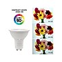 Viribright 4-Watts Daylight LED Floodlight Bulb, 6/Box (752049-6)~#|#~E49220BC-BEF3-4A3B-9D982F27E428955C_sc7
