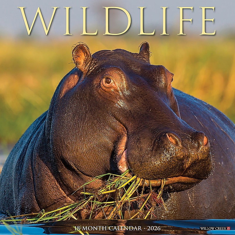 2026 Willow Creek Wildlife 12" x 12" Monthly Wall Calendar (53300) image 1
