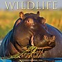 2026 Willow Creek Wildlife 12" x 12" Monthly Wall Calendar (53300)~#|#~E4942E98-3EC0-41E8-95B20C0CA71744EA_sc7
