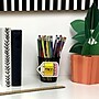 Creative Teaching Press Core Décor Doodle Pencil Designer Cut-Outs, 36/Pack, 3 Packs/Bundle (CTP10678-3)~#|#~E4A3279D-B533-49FE-9208043C544AA30C_sc7
