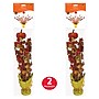 Beistle Fall Gleam 'N Spray Centerpieces, 2/Pack (90582)~#|#~E4E4CBC3-9D2A-4843-96DDC908C7550A5C_sc7