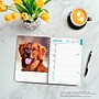 2026 BrownTrout Golden Retrievers 6.5" x 7.75" Weekly Planner (9798330703470)~#|#~E4FA94AE-6964-45DF-988F6FCB657360A5_sc7