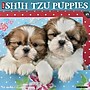 2027 Willow Creek Shih Tzu Puppies 12" x 12" Monthly Wall Calendar, Assorted Colors (62319)~#|#~E4FEF216-40DF-4B01-AC0725928B7F65E8_sc7