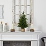 Nearly Natural Artificial Christmas Tree, 2' (T3325)~#|#~E50CD369-7D23-471B-B7B617F887D3693E_sc7