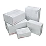 Scotch 9.5" x 6" x 3.75" Mailing Box, White (8004)~#|#~E55D4DCF-774F-4B0B-B8747373C6A0D6FB_sc7