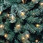 National Tree Company North Valley Spruce Artificial Christmas Tree, 6.5 ft. (NRVB7-306-65)~#|#~E572A329-22DC-4D79-A66E367923F6179D_sc7