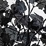 Nearly Natural Pre-Lit Artificial Halloween Black Maple Tree, 2' (T5227)~#|#~E58AA480-1609-43C1-A00A2057FE529C1C_sc7