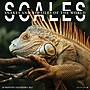 2027 Willow Creek Scales 12" x 12" Monthly Wall Calendar (62159)~#|#~E597F07C-293D-4442-BD9F28CF74461304_sc7