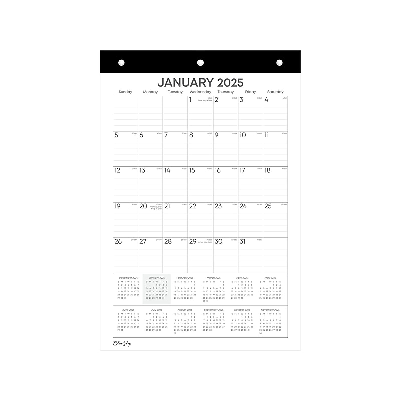 2025 Blue Sky 8" x 12" Monthly Wall Calendar, White/Black (152262) image 1