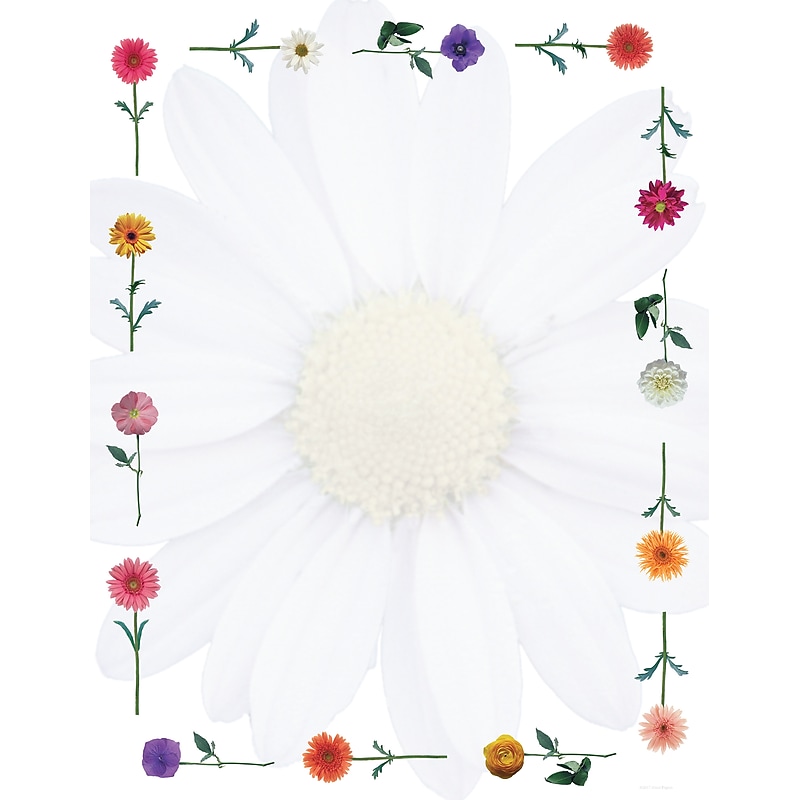 Great Papers Daisies Letterhead, 80 count image 1