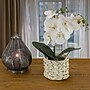 National Tree Company 21" White Orchid Flower in White Basket (MT81-PH0254PWH)~#|#~E5D7D54E-BE89-418C-8FB3A84723003FA4_sc7