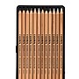 Lyra Rembrandt Polycolor Colored Pencil Set Tin, Assorted Colors, 12/Pack (LYXL2001122)~#|#~E5D9D6F2-7C00-4812-B49D4E07A579AF92_sc7