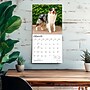 2027 BrownTrout Australian Shepherds 12" x 12" Monthly Wall Calendar (9798330712205)~#|#~E5DACCD7-F607-411F-974FD19247D9C53F_sc7