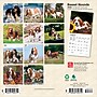 2026 BrownTrout Basset Hounds 7" x 7" Monthly Wall Calendar (9798330702312)~#|#~E5DD2F71-F1B0-47F9-9109F5983B7048F3_sc7