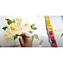 Silver Brush Squirrel Atelier Quill Brushes, 3/Pack (SLVQL5355)~#|#~E5F96BD4-9CEA-4DAA-A00574A1F888F169_sc7