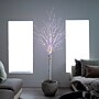 Nearly Natural 6' Pre-Lit Artificial White Birch Tree with 400 Color Changing LED Lights (T4921)~#|#~E612CED9-51D2-46D5-842C80A1F9BB49A9_sc7