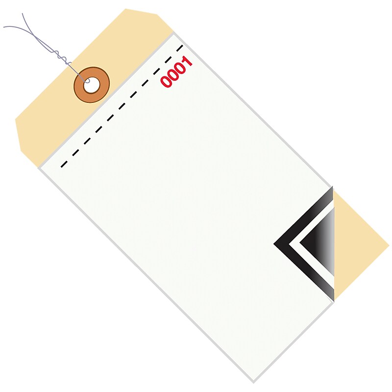 6.25" x 3.13" 3-Part Inventory Tags, 500/Carton (G17503) image 1
