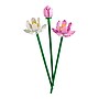 LEGO Botanicals Lotus Flowers, 220 Pieces (40647)~#|#~E630C995-C689-4C57-92A2FBDB7911CF27_sc7