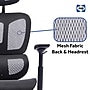 Sealy Astra Ergonomic Mesh Swivel Executive Chair, Black ~#|#~E63D94E4-1503-4EA1-BDB96051425C32D3_sc7