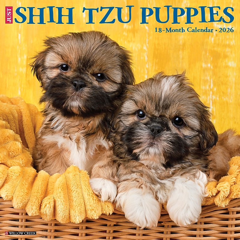 2026 Willow Creek Shih Tzu Puppies 12" x 12" Monthly Wall Calendar (52778) image 1