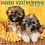 2026 Willow Creek Shih Tzu Puppies 12" x 12" Monthly Wall Calendar (52778)~#|#~E640475D-1C72-406D-8F9A3AAE792A13C8_sc7