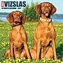 2027 Willow Creek 12" x 12" Monthly Wall Calendar, Assorted Colors (62807)~#|#~E64D54FB-0E92-4B6C-9DCFC69117F38D2C_sc7