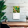 2027 BrownTrout Hummingbirds 7" x 7" Monthly Wall Calendar (9798330709830)~#|#~E6526EBC-77E0-49E0-9A5D374BF1F8F8CC_sc7